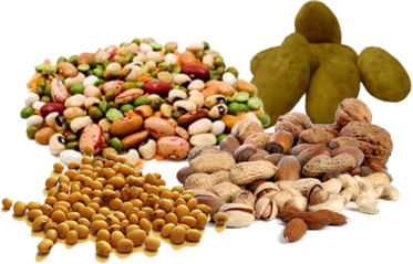 Wo ist das Eiweiß hin?